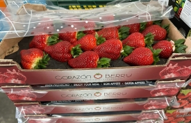 Fresas